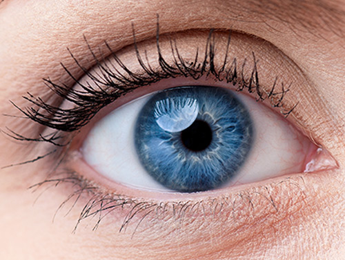 Close Up of Blue Eye